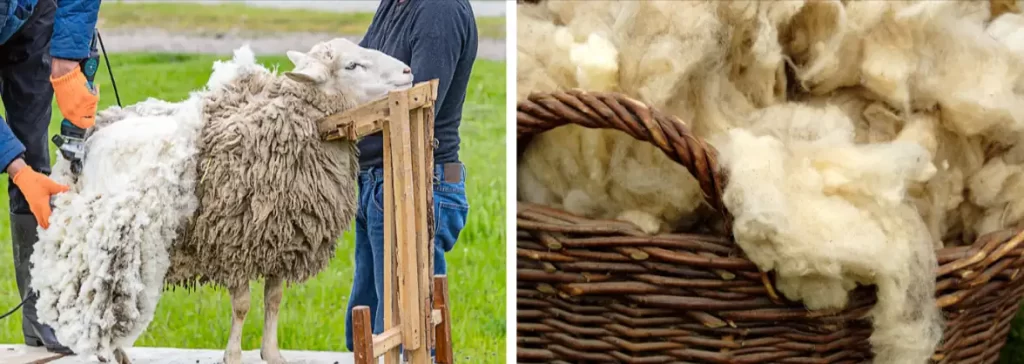 wool making