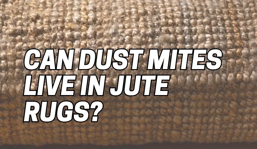 Can Dust Mites Live in Jute Rugs?