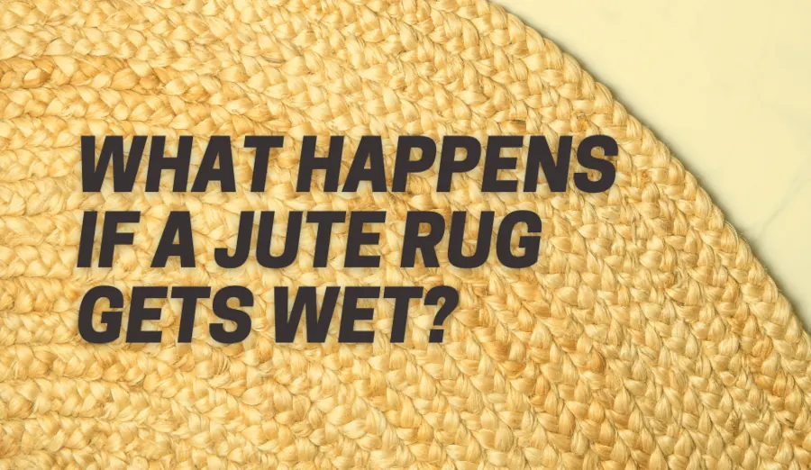 What Happens if a Jute Rug Gets Wet reddit