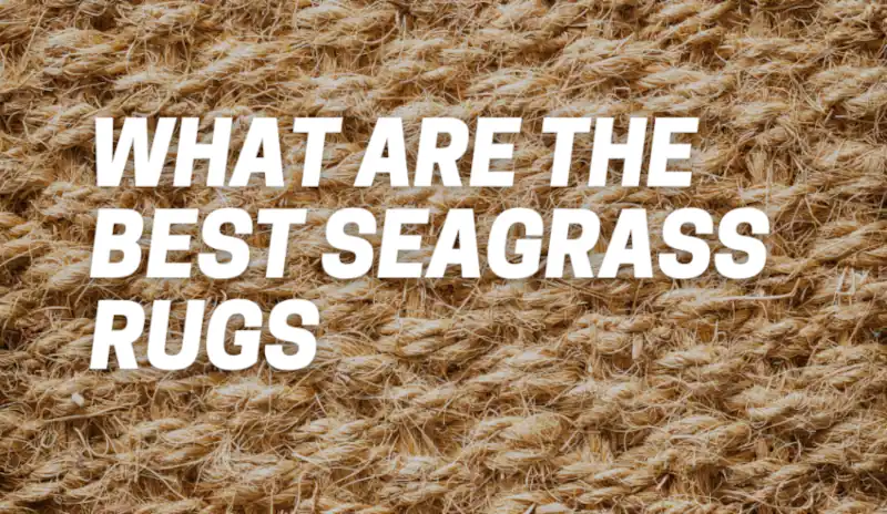 Best Seagrass Rugs