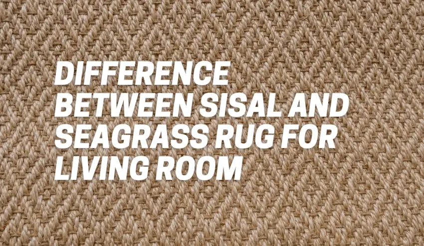Difference Between Sisal and Seagrass Rug for Living Room