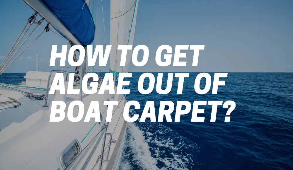 How to Get Algae Out of Boat Carpet?