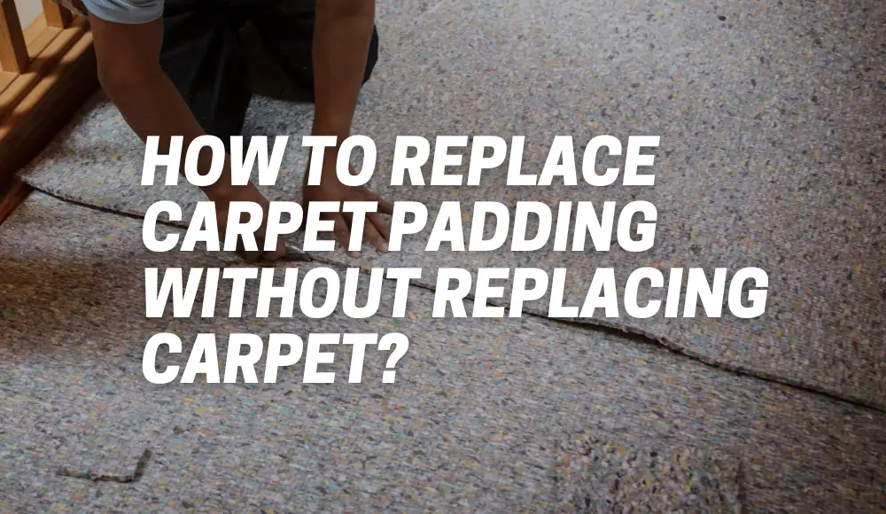 How to Replace Carpet Padding Without Replacing Carpet?