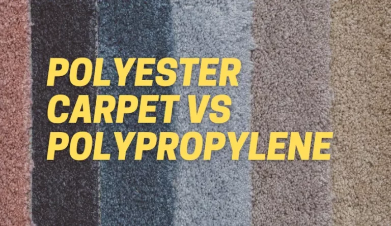 Polyester Carpet vs Polypropylene