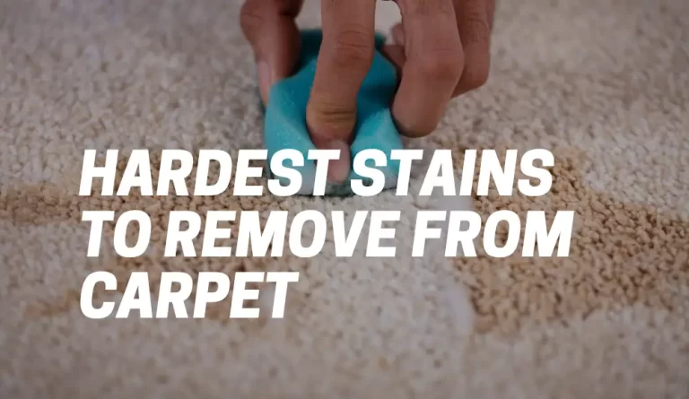 What Are the Hardest Stains to Remove From Carpet?