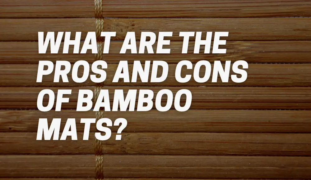 What Are the Pros and Cons of Bamboo Mats?