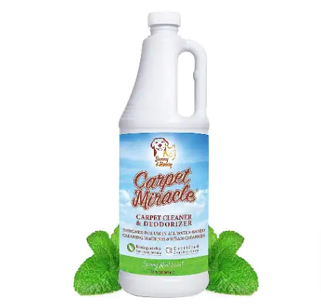 miracle essential oil carpet cleaner