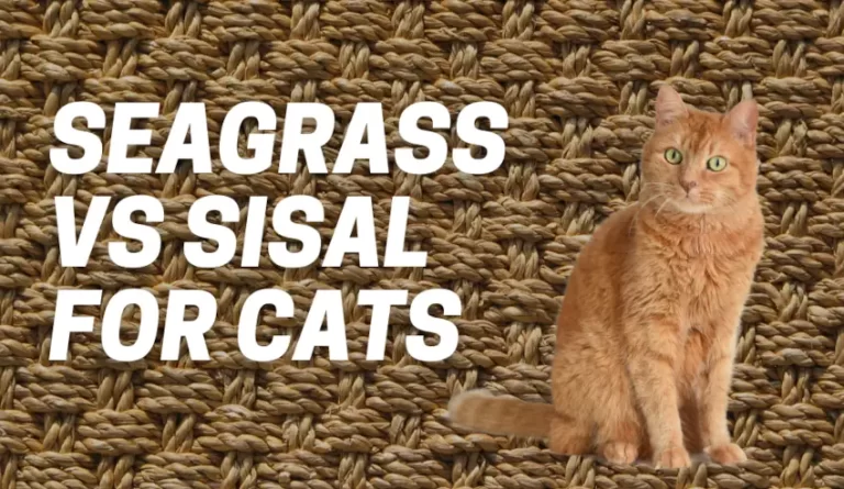 Seagrass vs Sisal for Cats