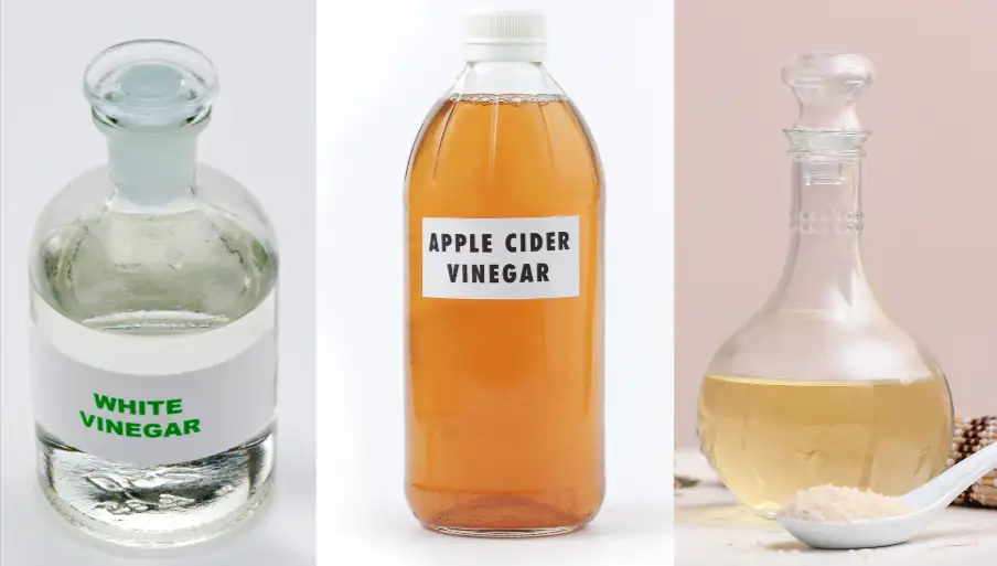 types of vinegar