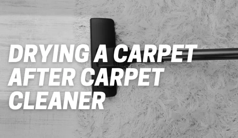 How Do You Dry A Carpet After Using A Carpet Cleaner