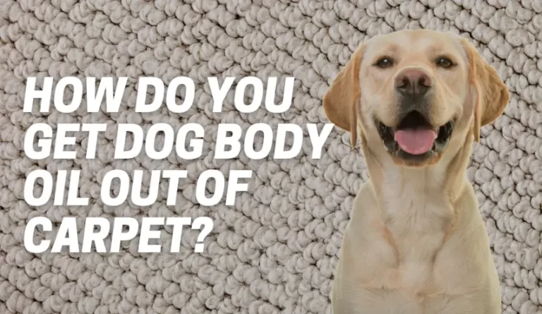 How Do You Get Dog Body Oil Out Of Carpet?