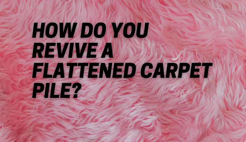 How Do You Revive a Flattened Carpet Pile