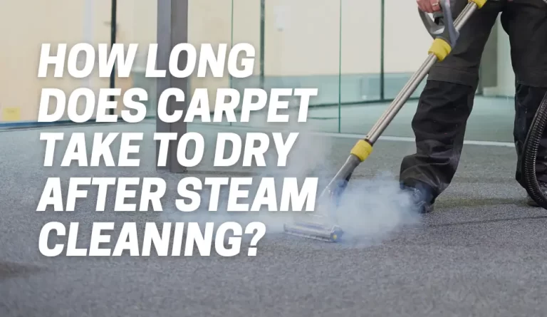 How Long Does Carpet Take To Dry After Steam Cleaning?