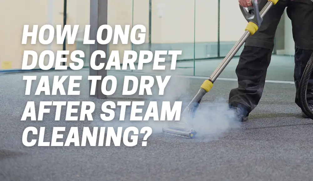 How Long Does Carpet Take To Dry After Steam Cleaning? CarpetsMatter