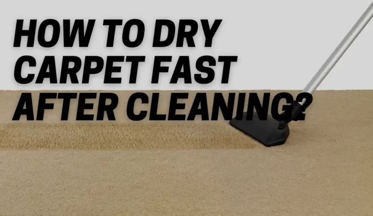 How To Dry Carpet Fast After Cleaning?