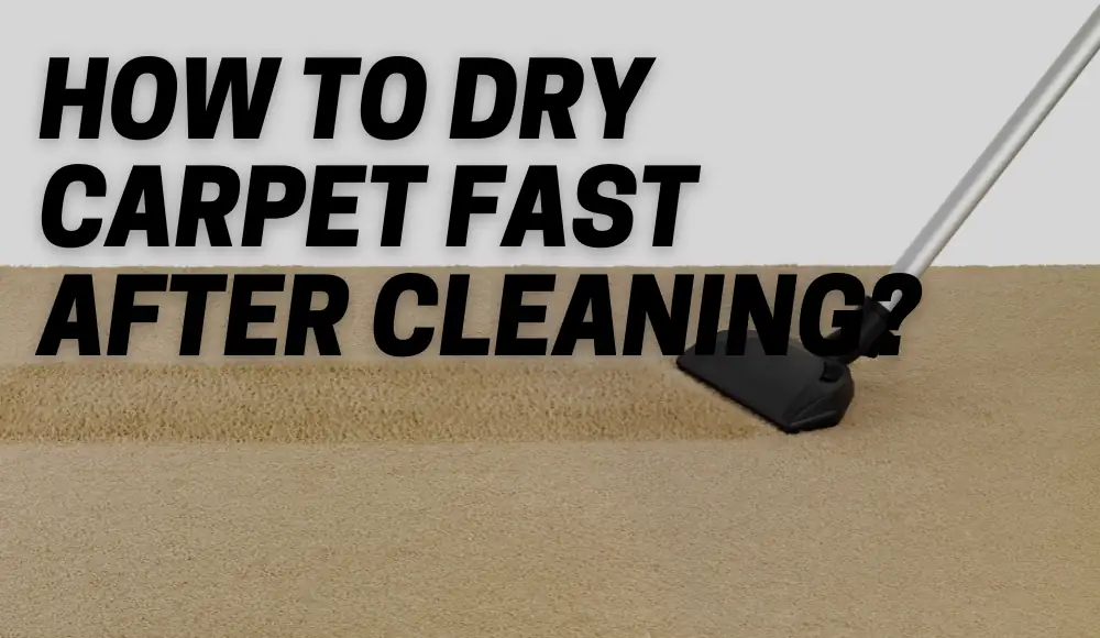 How To Dry Carpet Fast After Cleaning? [Explained] - CarpetsMatter