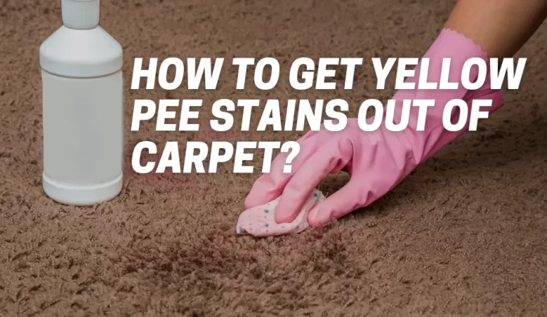 How To Get Yellow Pee Stains Out Of Carpet?