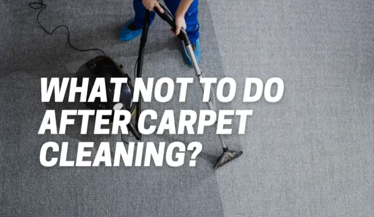 What Not To Do After Carpet Cleaning?