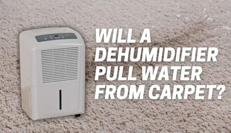 Will A Dehumidifier Pull Water From Carpet?