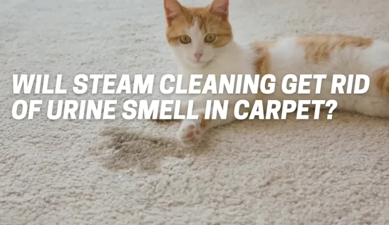 Will Steam Cleaning Get Rid Of Urine Smell In Carpet?
