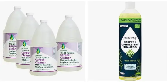 eco friendly carpet shampoo