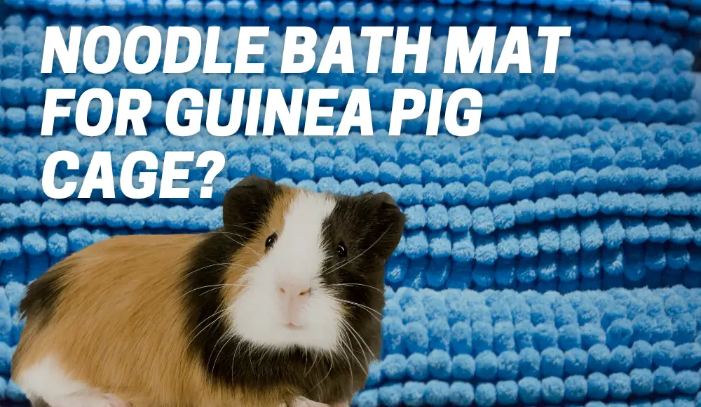 noodle bath mat for guinea pig cage