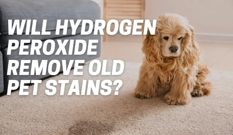 will hydrogen peroxide remove old pet stains from carpet