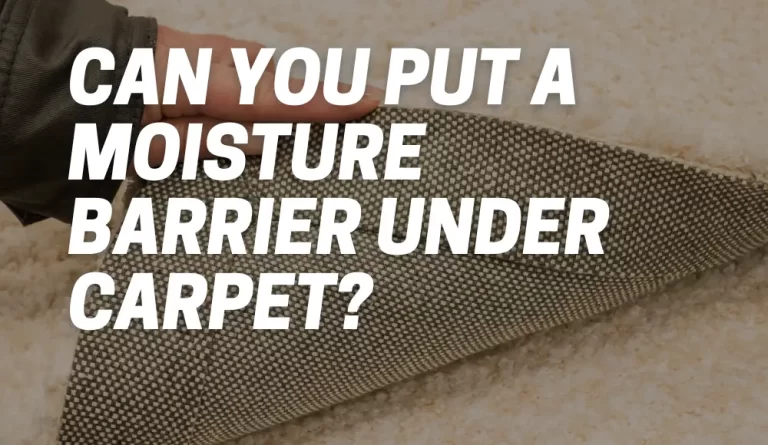 Can You Put A Moisture Barrier Under Carpet?