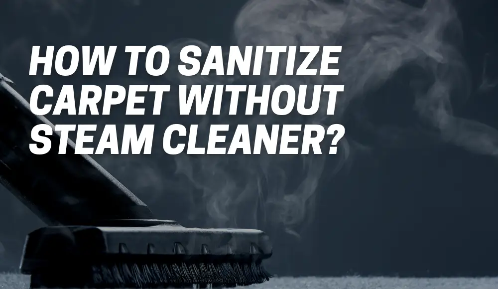 How To Sanitize Carpet Without Steam Cleaner?