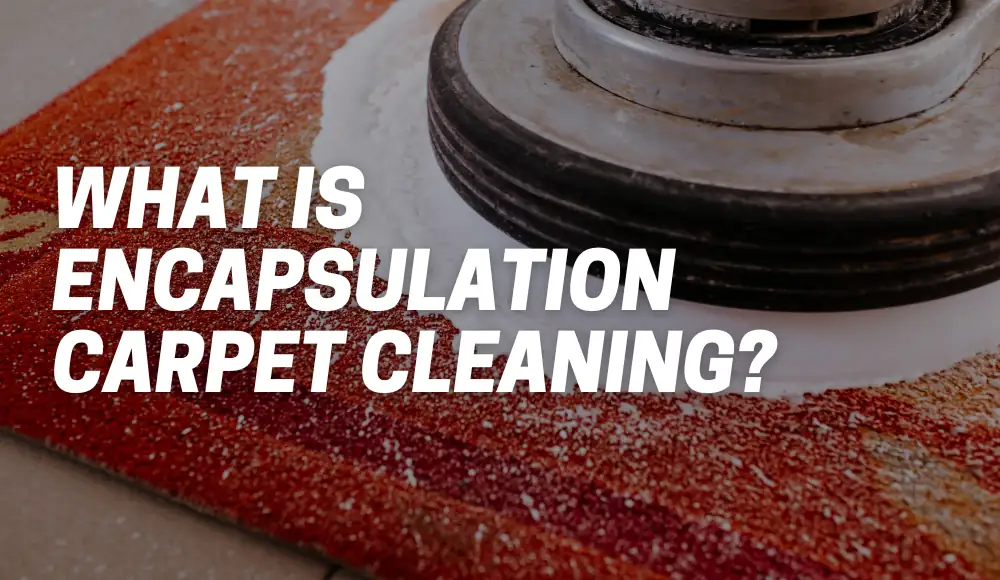What Is Encapsulation Carpet Cleaning?