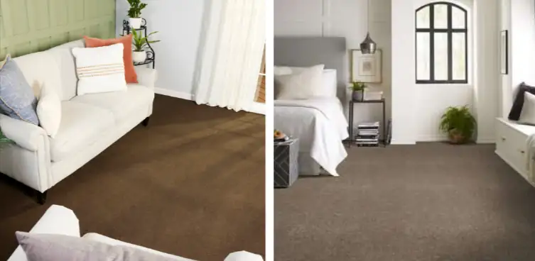 brown carpet
