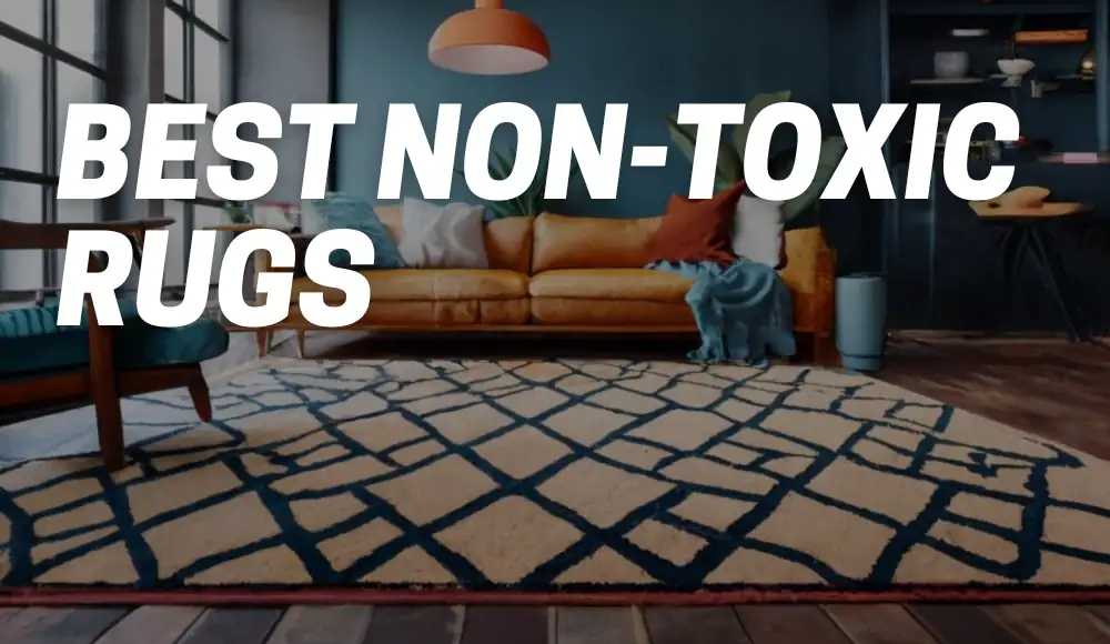 Best Non-Toxic Rugs
