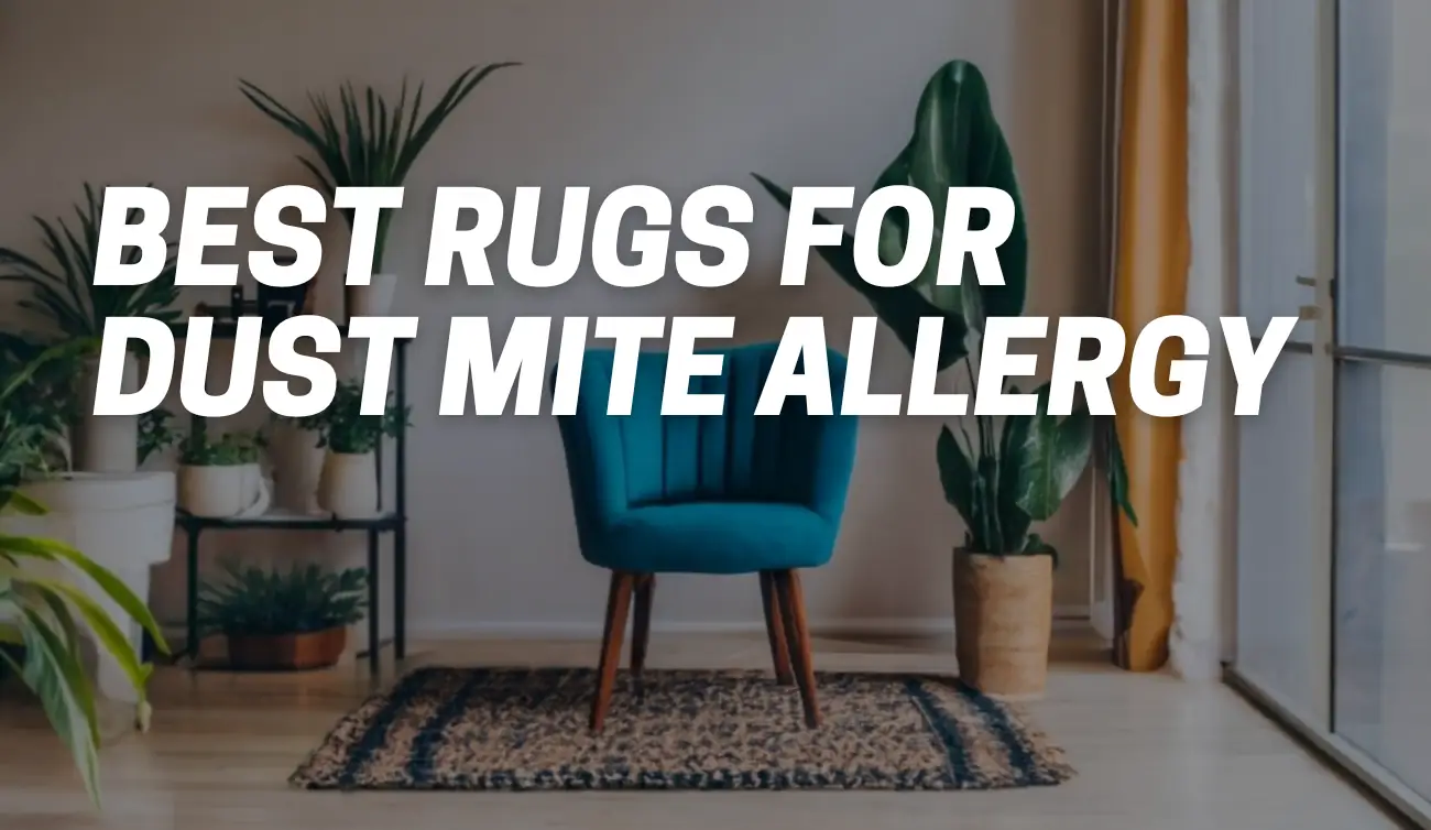 Best Rugs for Dust Mite Allergy