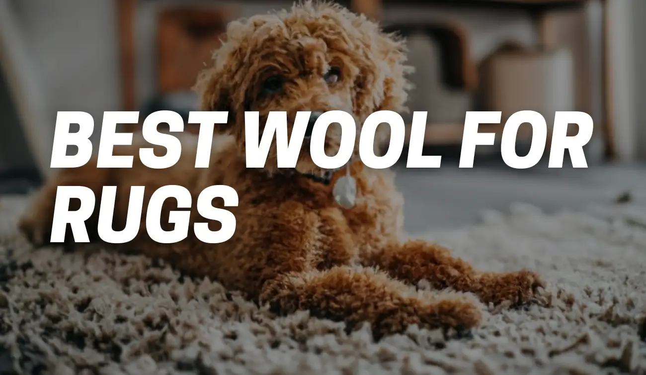 Best Wool for Rugs