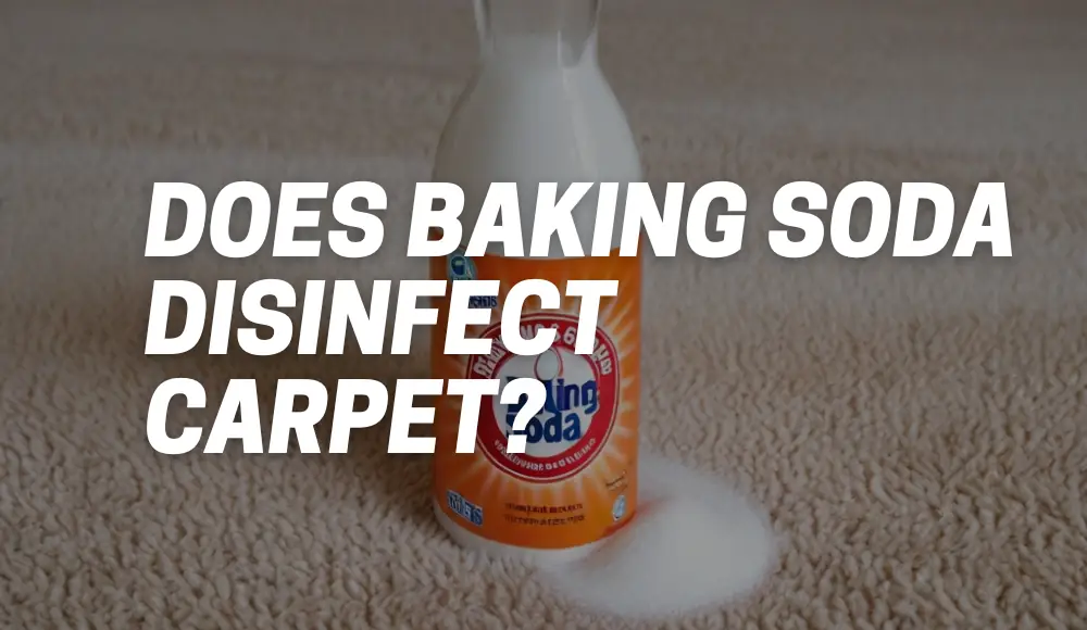 Does Baking Soda Disinfect Carpet?