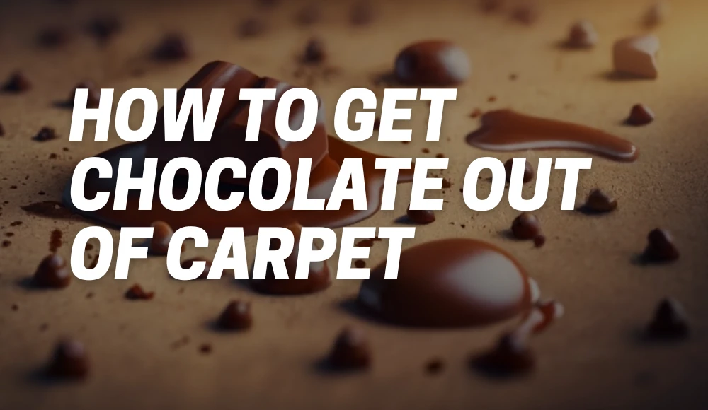 How To Get Chocolate Out of Carpet
