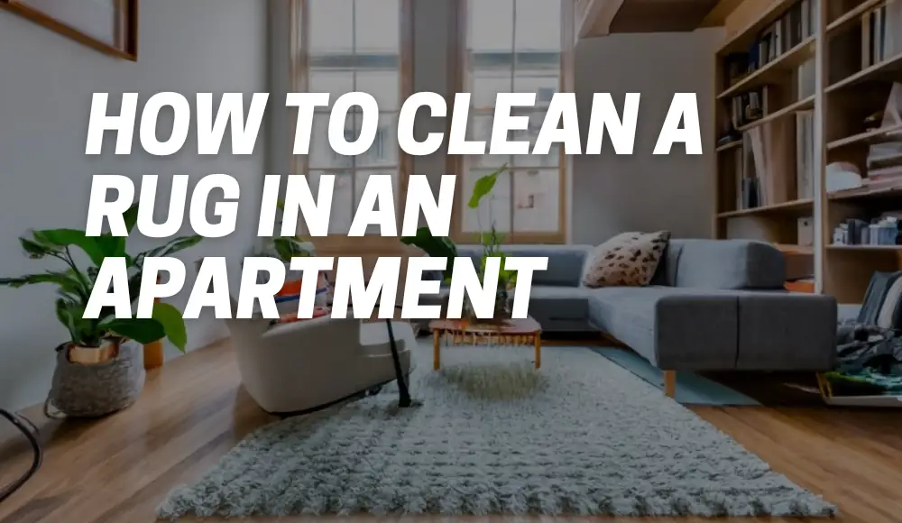 how to clean a rug in an apartment