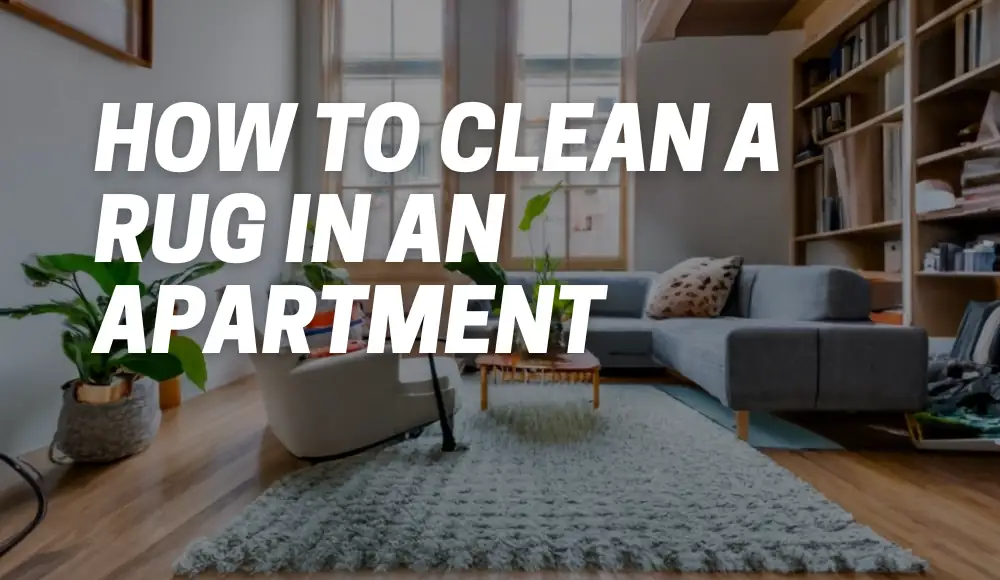 How to Clean a Rug in an Apartment [101 Guide] CarpetsMatter