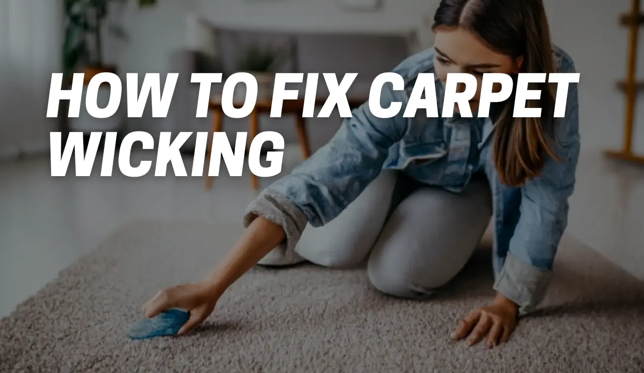 How to Fix Carpet Wicking [Your Comprehensive Guide] CarpetsMatter