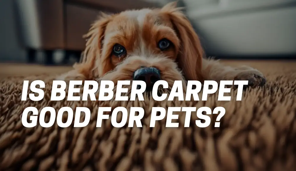 Is Berber Carpet Good For Pets?