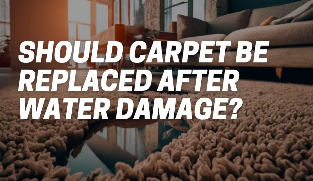 Should Carpet Be Replaced After Water Damage?