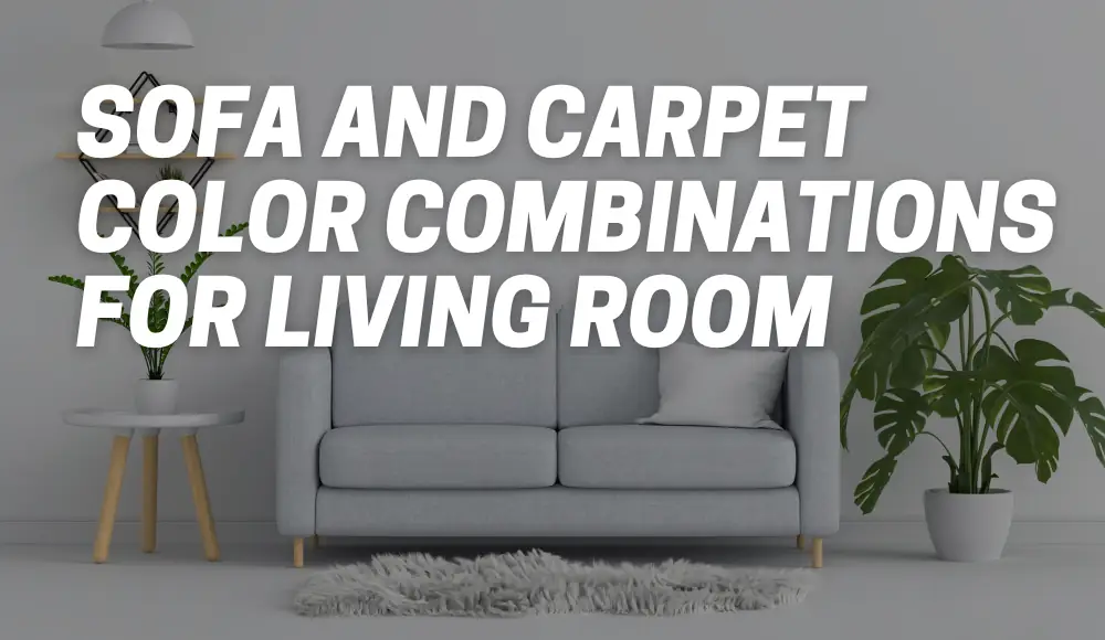 Sofa And Carpet Color Combinations For Living Room