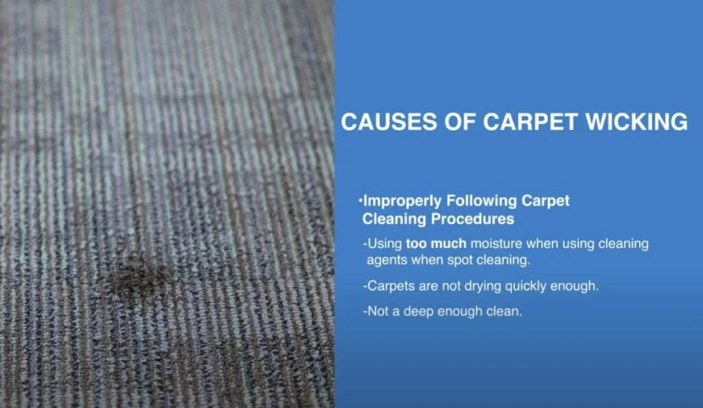 removing carpet wicking stains