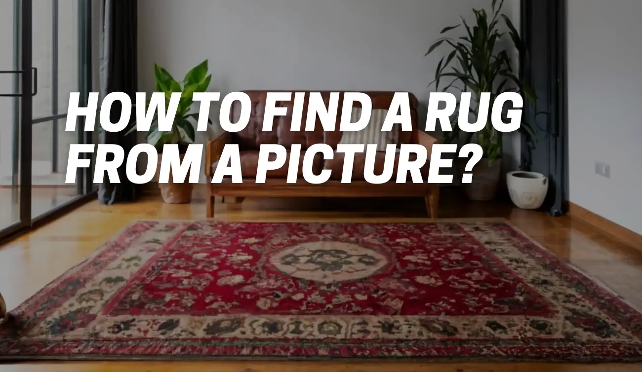 How To Find a Rug From a Picture?